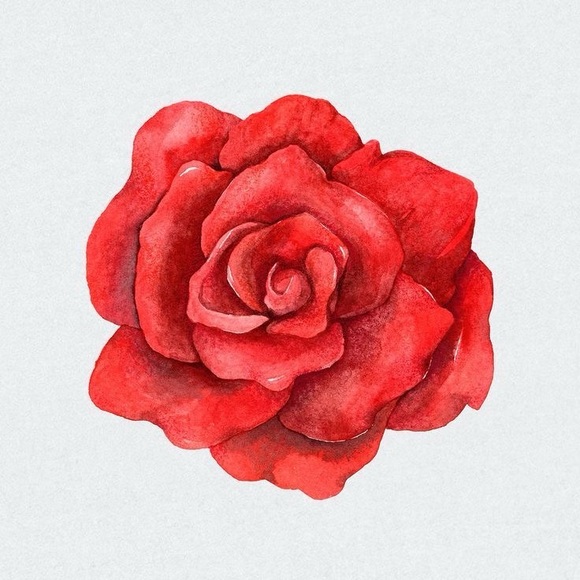 rosencollective